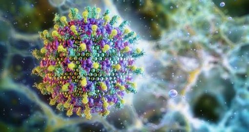 Нипах вирусының таралуына байланысты Қазақстан шекарадағы бақылауды күшейтті