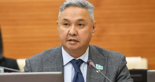 «Ақ жол» партиясы жаңа Конституция жобасын қолдайды – Азат Перуашев