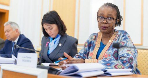 Халықаралық қауымдастық конституциялық реформаны қалай бағалады