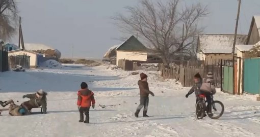 "1,5 млн теңге, 10 сиыр мен бір жылқы беріледі": Семейде әкімдік тұрғындарды ауылға көшуге шақыруда