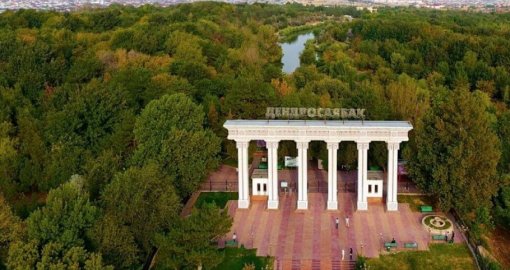 Шымкент дендросаябағында ер адамның денесі табылды