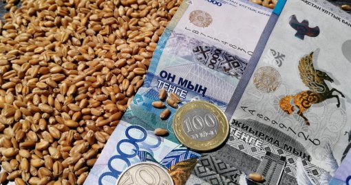 Ауыл шаруашылығында 32 млрд теңге тиімсіз жұмсалған – министрлік