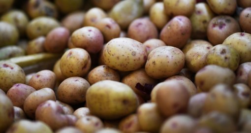 Үкімет картоп экспортына тыйым салмайды, ал жұмыртқа импортына шектеу енгізіледі