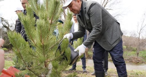 Жаңару күні Түркістан облысында «Мөлдір бұлақ»  экологиялық акциясы өтті