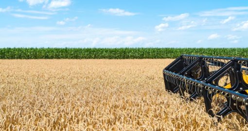 Ерте қаржыландыру егіс науқанына қалай әсер етеді