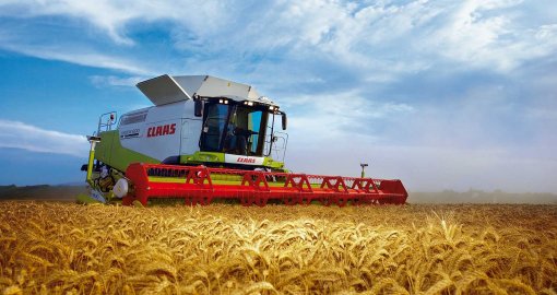 Қазақстан мол пайда әкелетін дақылдарды егуге басымдық бермек – Ауыл шаруашылығы министрлігі