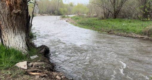 Түркістан облысында тағы бір бала суға кетті