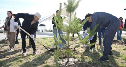 «Таза Қазақстан»: Жетісу облысында жалпыоблыстық сенбілік аясында 8 мың ағаш егілді