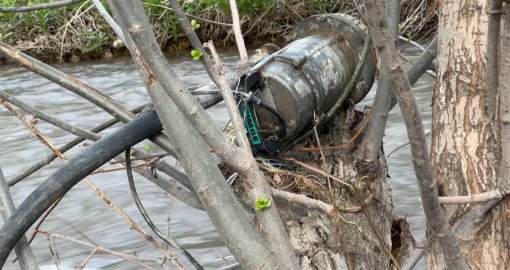 Түркістан облысында суға батып кеткен 2 жастағы баланың денесі табылды