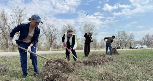 «Таза Қазақстан»: Жетісудағы экологиялық акцияда өзен жағалауы мен елді мекендер тазартылды