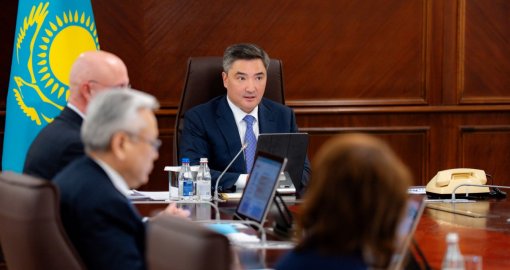 «Мәселелер созылып кетті»: Бектенов әкімдіктер мен «Бәйтерек» холдингінің жұмысын сынға алды