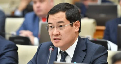 «20 минутты көлікке жұмсадық»: Астанадағы үш баланың өліміне қатысты депутат пікір білдірді