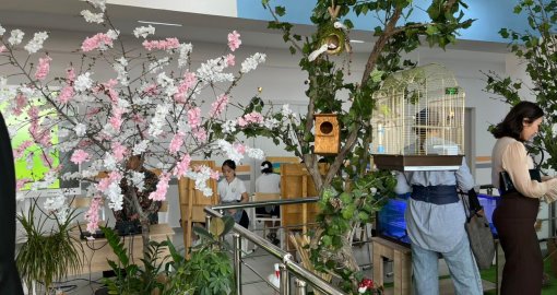 Табиғатқа жанашыр ұрпақ: Атырауда жаңа «Eco Lab» ашылды