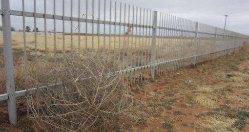 Шымкентте 1,7 млрд теңге бос жатқан жерге бөлінген