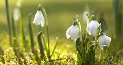 Демалыс күндері күн жылынады