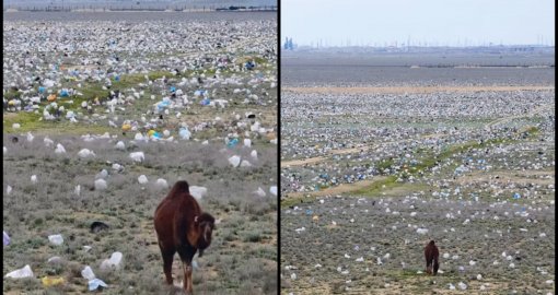 «Дала қоқысқа оранды»: Маңғыстауды көрсеткен блогердің видеосы елдің наразылығын туғызды