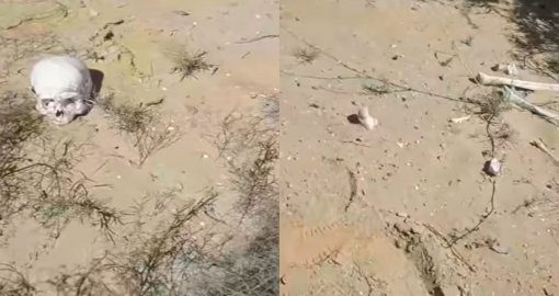 Атырау облысында иен даладан адам сүйектері табылды