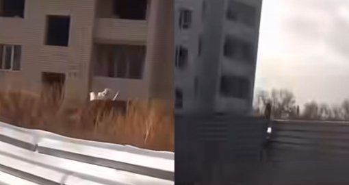 «Добын алмақ болған»: Теміртауда үш баланы тоқ соғып, ауруханаға түсті