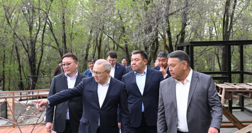 «Таза Қазақстан»: Жетісу облысындағы «Қойтас» эко-саябағы 20 гектарға дейін ұлғаяды