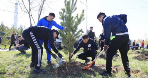 «Таза Қазақстан»: Қарағанды этнопаркіне 1500 ағаш егілді