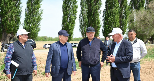 Жетісуда шаруашылықтар егістікке жаңа агротехнологияларды енгізуде