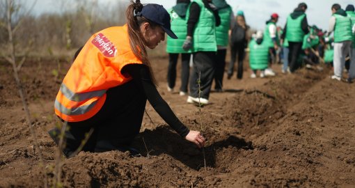 FlyArystan «Halyk» қорының орманды қалпына келтіру жобасын қолдады