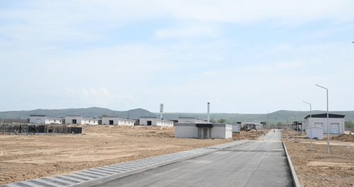 Жетісуда тазы және төбет ит тұқымдарын өсіру орталығы салынып жатыр