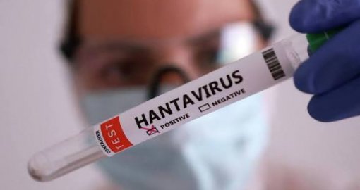 Хантавирус пандемияға ұласуы мүмкін бе: ДДСҰ мәлімдеме жасады