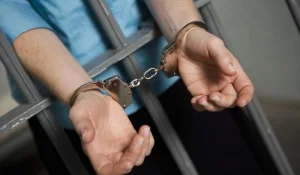 «Дикий Арманның» сыбайласы Дубайдан экстрадицияланды