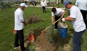Түркістан облысында "Таза Қазақстан" жобасы аясында көгалдандыру жұмыстары жүргізілді