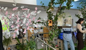 Табиғатқа жанашыр ұрпақ: Атырауда жаңа «Eco Lab» ашылды