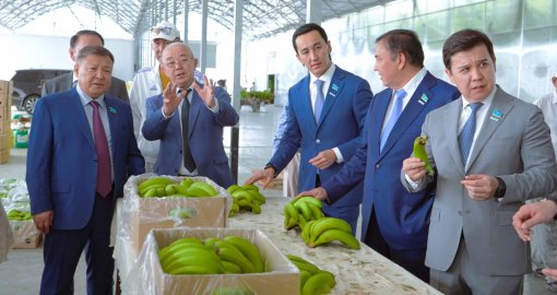 Мәжіліс депутаттары Түркістан облысындағы шаруалармен жүздесті
