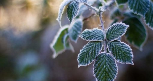 Қазақстанның бірқатар өңірінде жаңбыр жауып, үсік жүреді