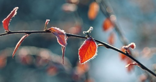 Қазақстанда күн суытады: 4 қарашадан бастап -13 градус аяз түседі