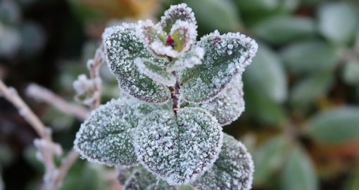 Көктемнің алғашқы күндері күн райы қандай болады?