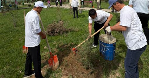 Түркістан облысында "Таза Қазақстан" жобасы аясында көгалдандыру жұмыстары жүргізілді